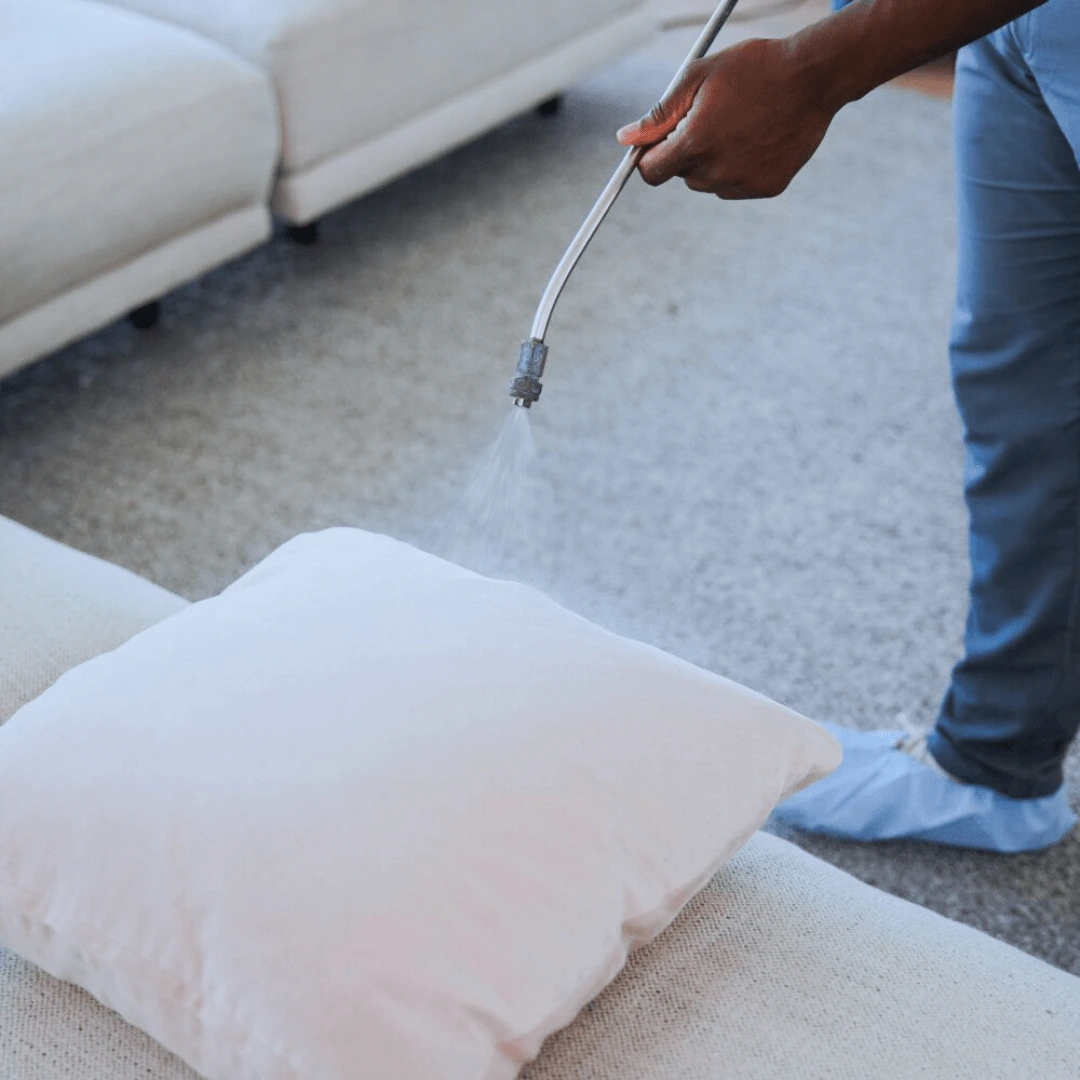 Carpet Cleaning underway as a technician treats stains in a family room