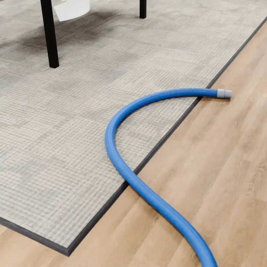 Blue carpet cleaning hose laid over carpet tile and a wood floor