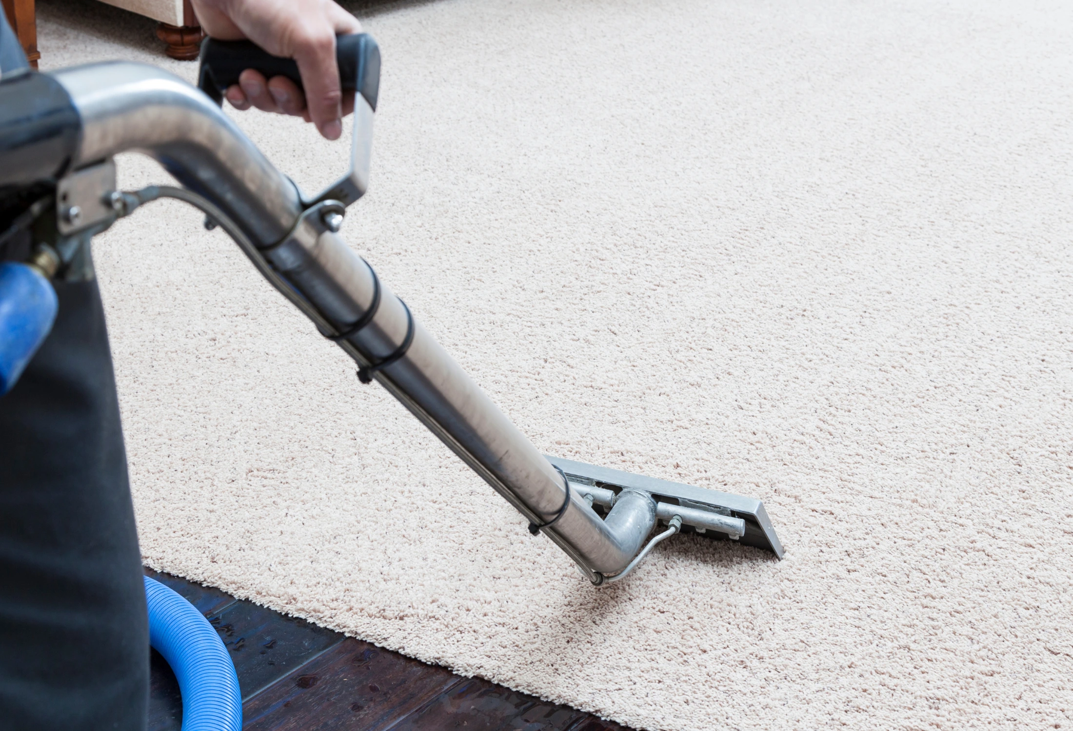 Carpet Cleaning